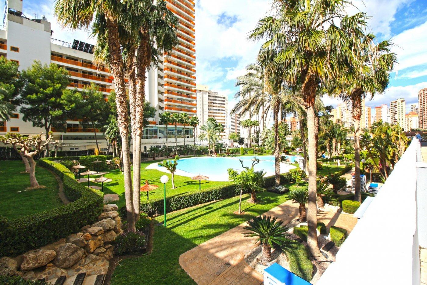 Great apartment in lower Rincon de Loix | image 3