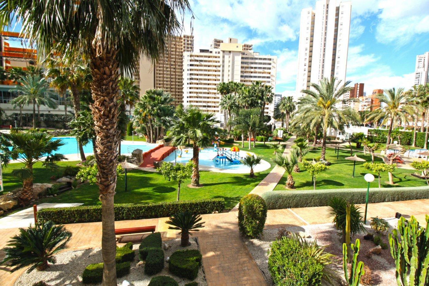 Great apartment in lower Rincon de Loix | image 2