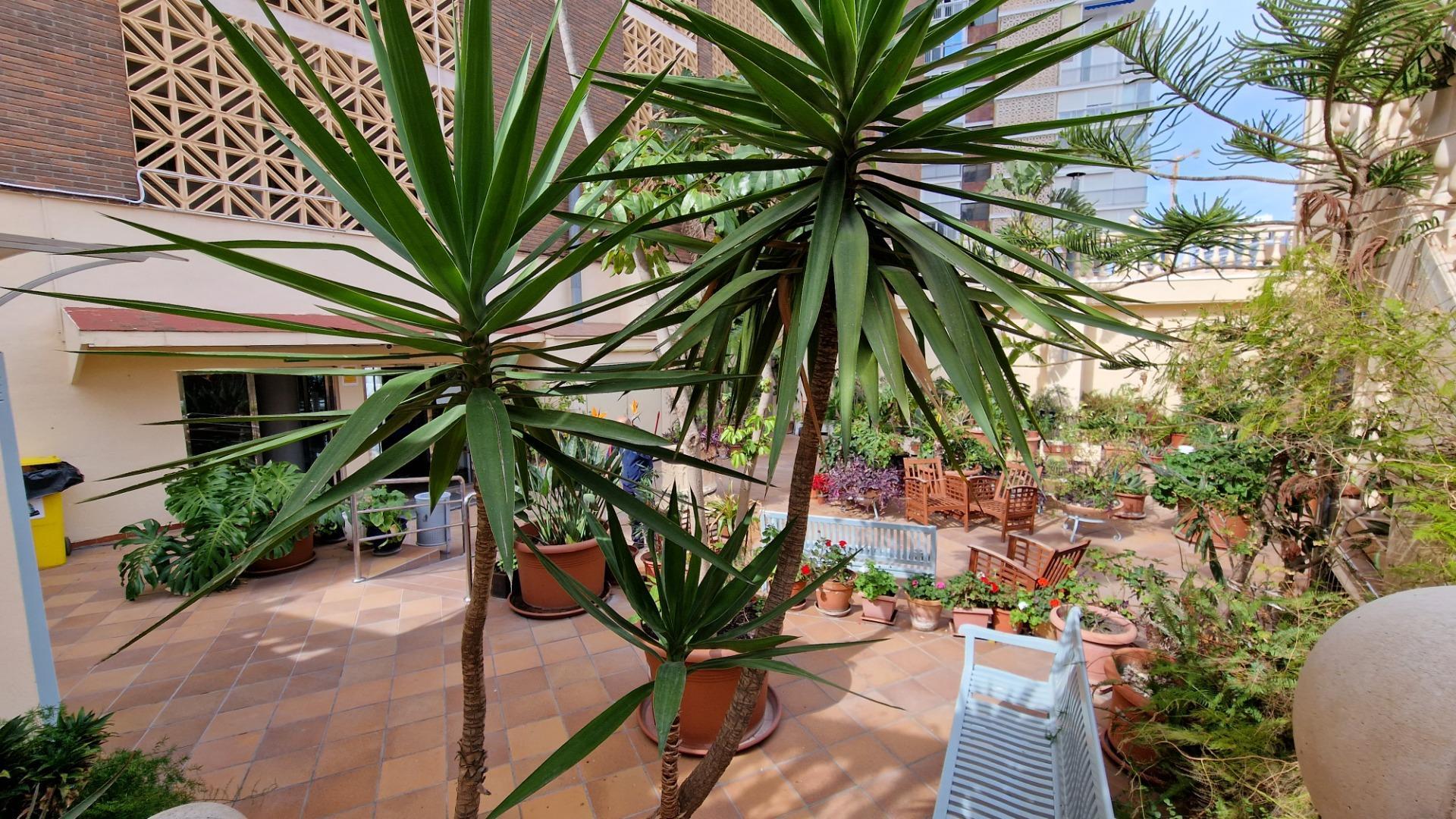 Gran piso en primera línea de Levante en Benidorm | фото 2 Gran piso en primera línea de Levante en Benidorm | фото 2